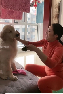 街拍橙色保暖内衣美女图片